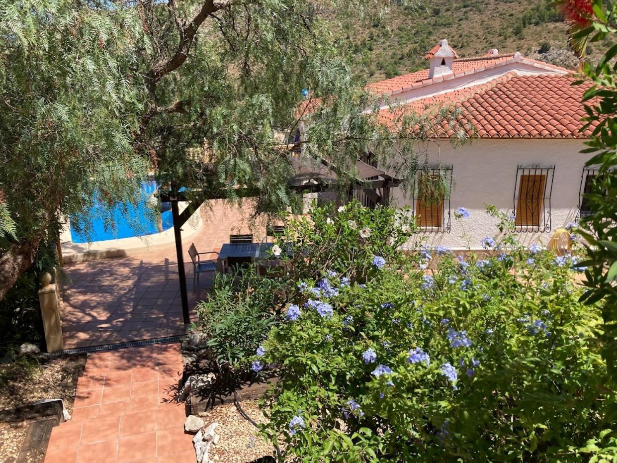 Villa Bello Horizonte بيدريجوير المظهر الخارجي الصورة